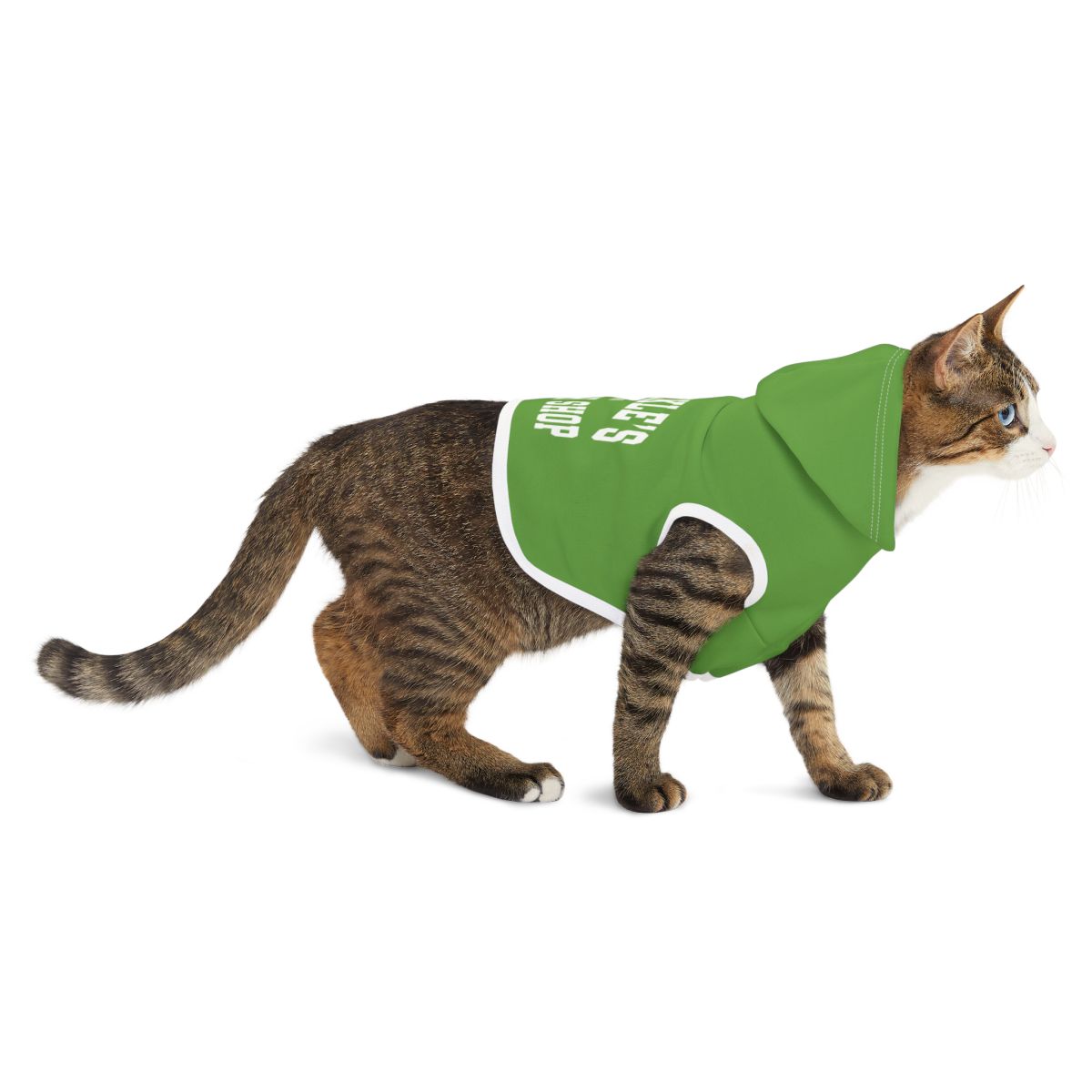 Cat wearing a green hoodie on a white background