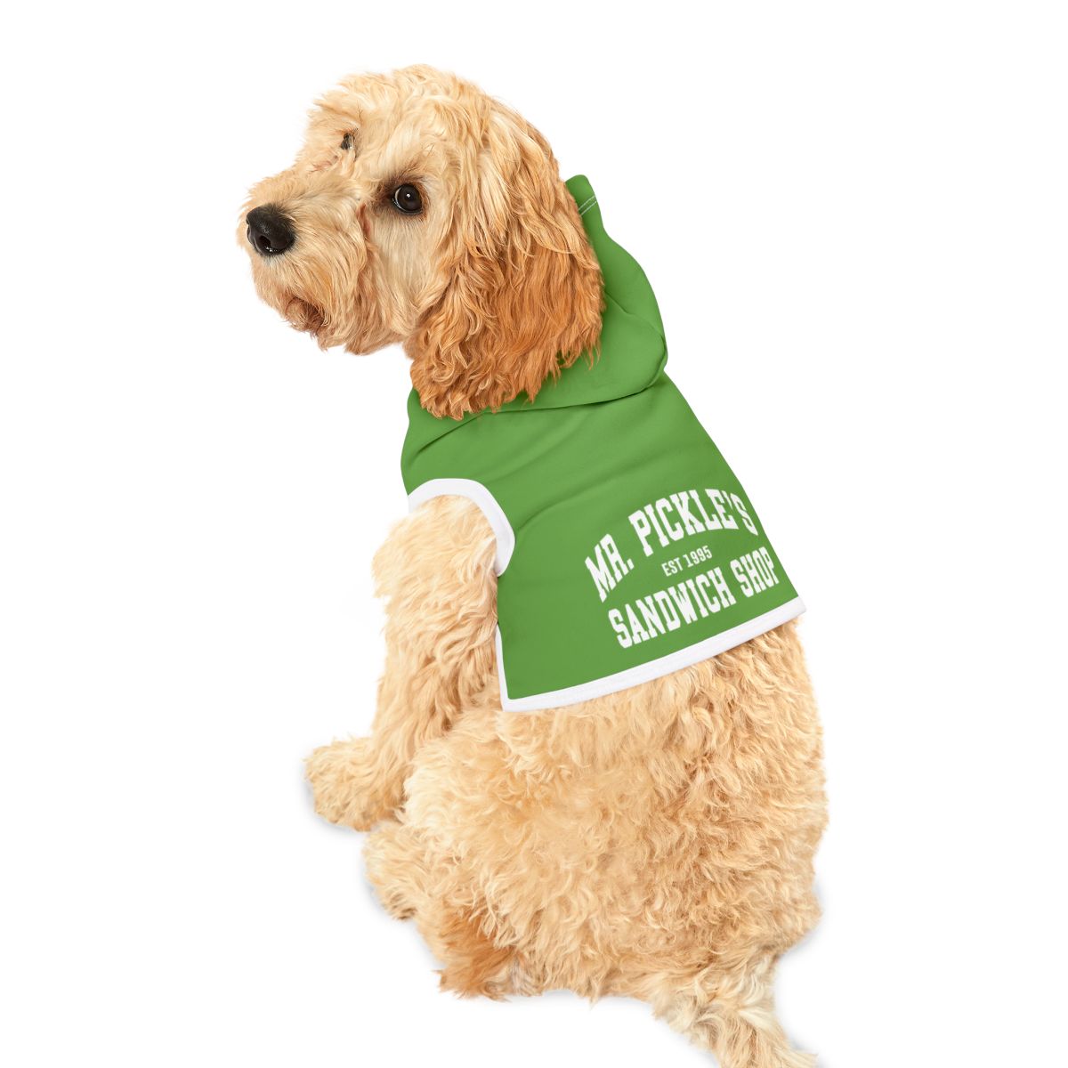 Dog wearing a green hoodie with text on a white background