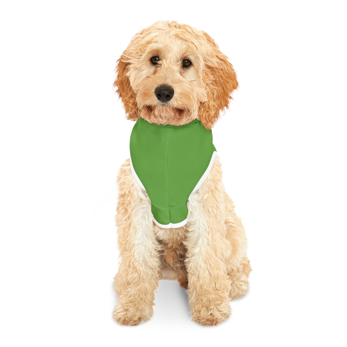 Dog wearing a green bandana on a white background
